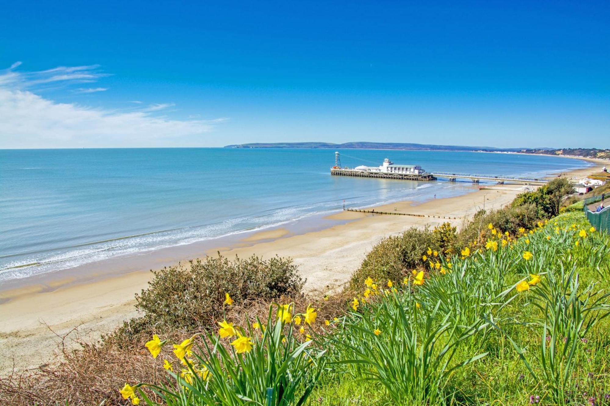 Bournecoast - Coastguard Cottage - Sea View - Garden - Hot Tub - Hb6098 Борнмут Экстерьер фото